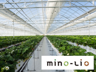 「株式会社mino-lio」設立
